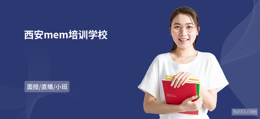 西安mem培训学校