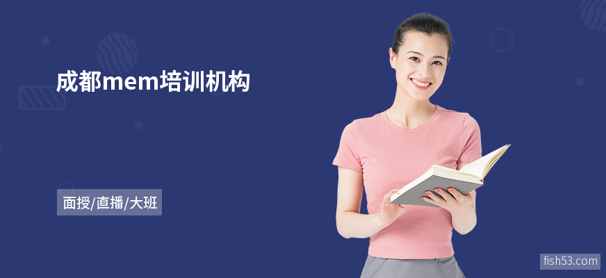 成都mem培训机构