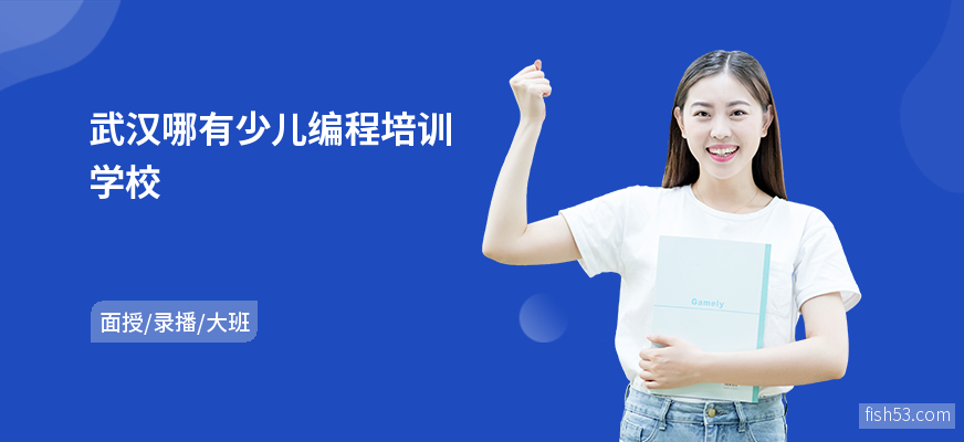 武汉哪有少儿编程培训学校