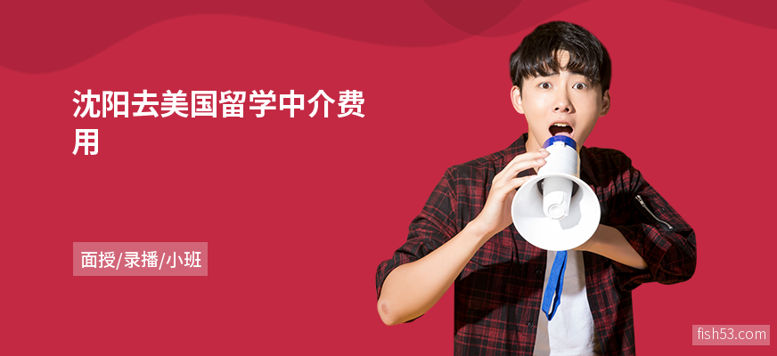 沈阳去美国留学中介费用