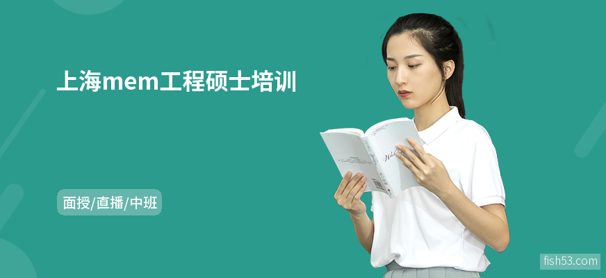 上海mem工程硕士培训