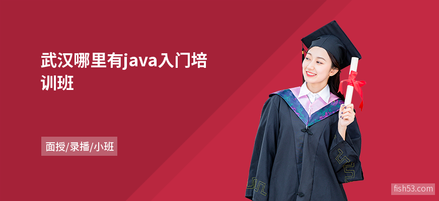 武汉哪里有java入门培训班