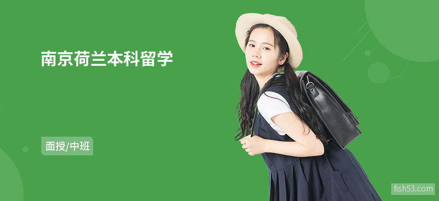 南京荷兰本科留学