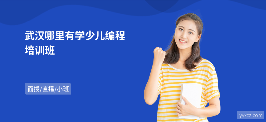 武汉哪里有学少儿编程培训班