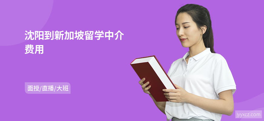 沈阳到新加坡留学中介费用