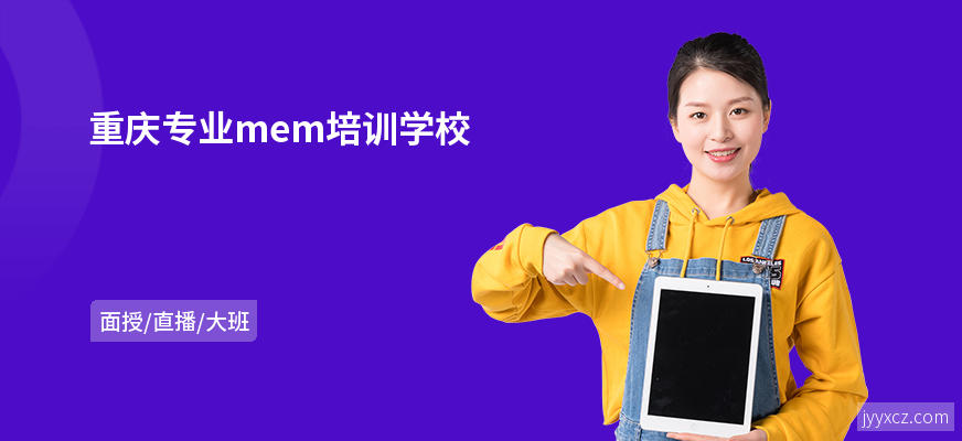 重庆专业mem培训学校