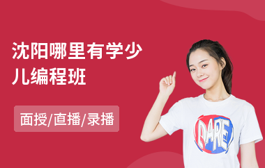 沈阳哪里有学少儿编程班