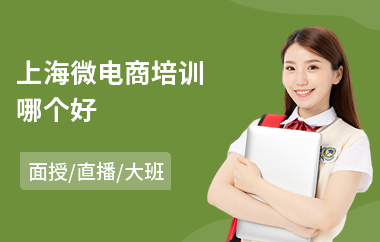 上海微电商培训哪个好(电商it技能培训)