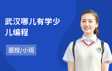 武汉哪儿有学少儿编程(学少儿编程去哪学)