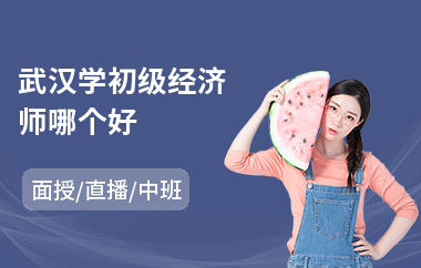 武汉学初级经济师哪个好