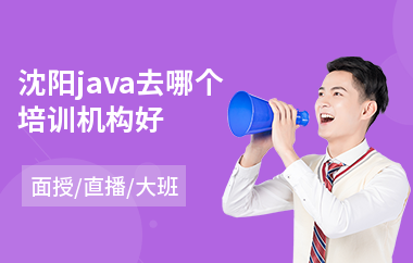 沈阳java去哪个培训机构好(培训机构学习java要多久)