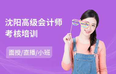 沈阳高级会计师考核培训(高级会计师继续教育培训)