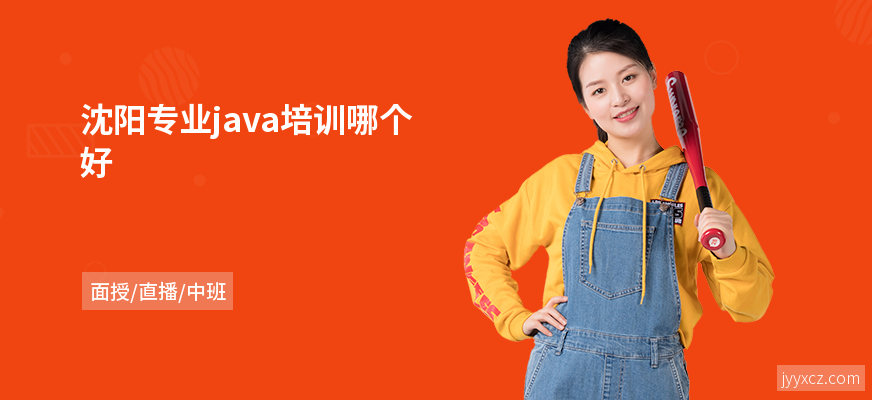 沈阳专业java培训哪个好