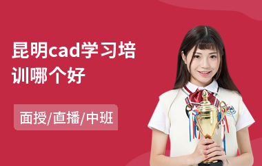 昆明cad学习培训哪个好(cad制图业余培训)
