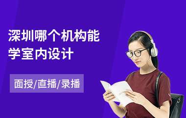 深圳哪个机构能学室内设计