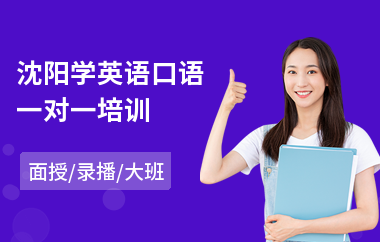 沈阳学英语口语一对一培训(一对一英语培训班价格)