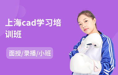 上海cad学习培训班(cad设计师培训学校)