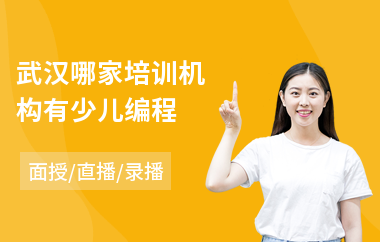 武汉哪家培训机构有少儿编程