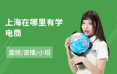 上海在哪里有学电商
