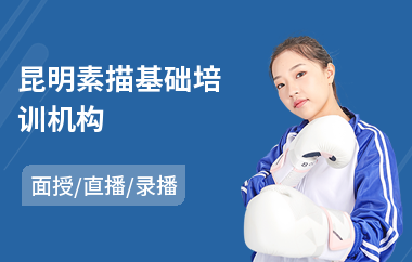 昆明素描基础培训机构(学素描哪个机构好)
