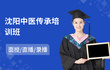 沈阳中医传承培训班