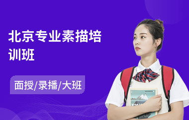 北京专业素描培训班(素描美术培训哪家好)