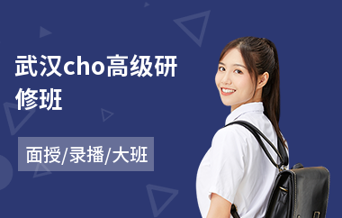 武汉cho高级研修班