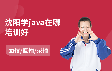 沈阳学java在哪培训好(学习java到哪里学)