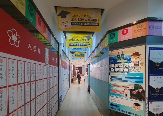 【欢迎参考】广州对外汉语培训机构排行榜，你