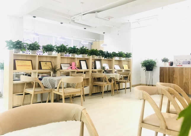 洛阳雅思培训机构最新排名，全新出炉