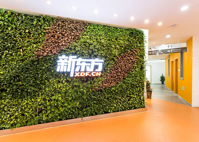 昆明托福培训机构排名榜,最新出炉